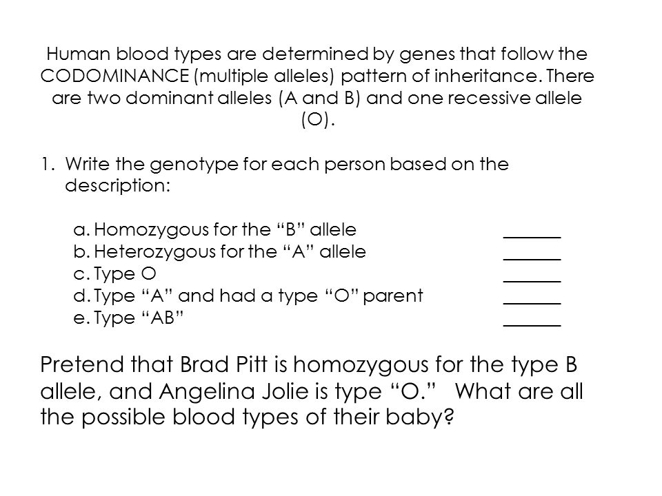 What are genotypes?